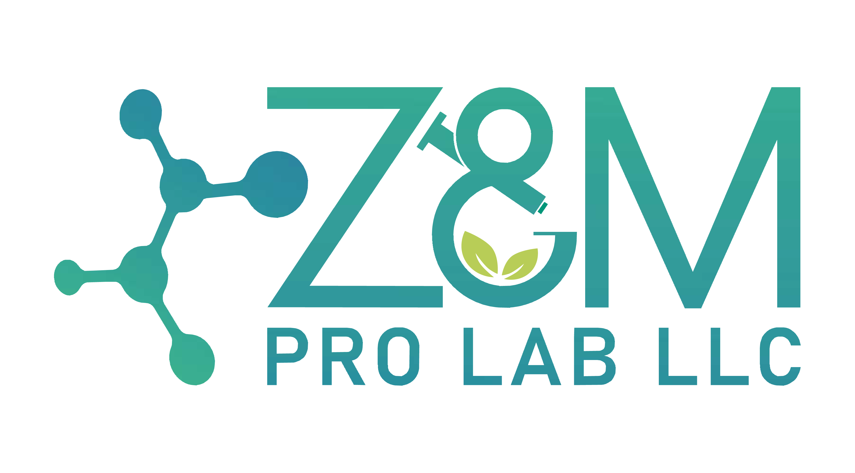 zandmprolab.com logo